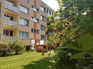 Pronájem bytu 1+1, Kolín, Funkeho, 19 m2