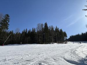 Prodej bytu 1+kk, Špindlerův Mlýn, 41 m2