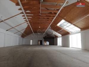 Pronájem obchodního prostoru, Nová Ves v Horách - Mníšek, 1100 m2