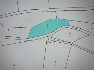 Prodej lesa, Milý, 7670 m2