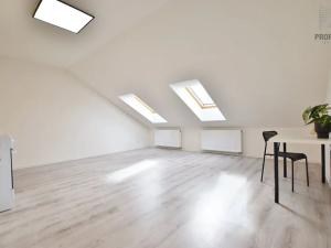 Pronájem bytu 2+kk, Brno, Čejkova, 60 m2