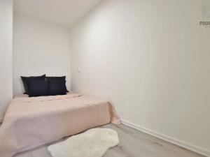 Pronájem bytu 2+kk, Brno, Čejkova, 60 m2