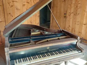 Prodej chaty, Červená Voda, 265 m2