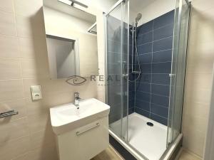 Pronájem bytu 2+kk, České Budějovice, Žižkova tř., 40 m2