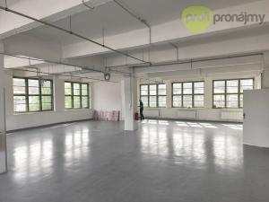 Pronájem skladu, Zlín, Šedesátá, 230 m2