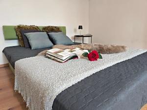 Prodej bytu 2+kk, Liberec, Ruprechtická, 44 m2