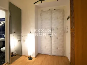 Pronájem bytu 1+1, Praha - Vinohrady, Lucemburská, 40 m2