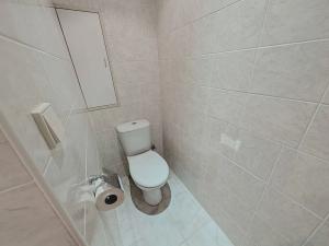 Pronájem bytu 3+kk, Mladá Boleslav, Jana Palacha, 67 m2