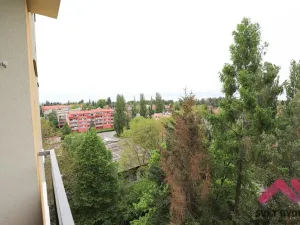 Prodej bytu 1+kk, Říčany, U Vodojemu, 19 m2
