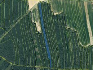 Prodej lesa, Hromnice, 12972 m2