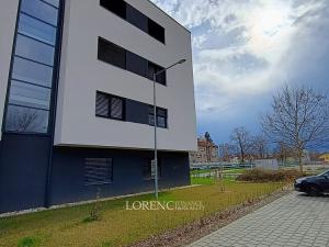 Pronájem bytu 1+kk, Hodonín, Žižkova, 30 m2