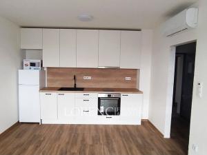 Pronájem bytu 1+kk, Hodonín, Žižkova, 30 m2