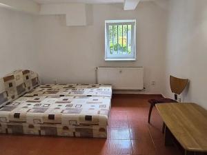Pronájem bytu 1+kk, Cheb, Mánesova, 18 m2