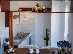 Pronájem bytu 1+kk, Brno - Zábrdovice, Merhautova, 37 m2
