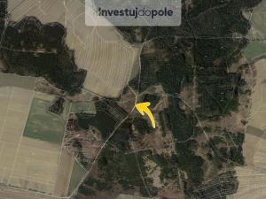 Prodej pole, Habry, 1706 m2