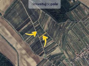 Prodej pole, Dolní Bojanovice, 1330 m2