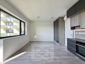 Pronájem bytu 1+kk, Znojmo, Kotkova, 35 m2