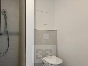 Pronájem bytu 1+kk, Znojmo, Kotkova, 35 m2