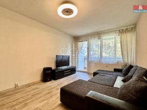 Pronájem bytu 2+1, Domažlice - Týnské Předměstí, Mánesova, 68 m2