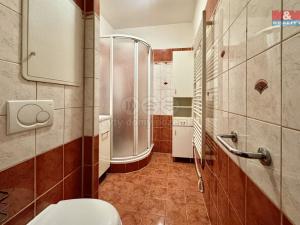 Pronájem bytu 2+1, Domažlice - Týnské Předměstí, Mánesova, 68 m2