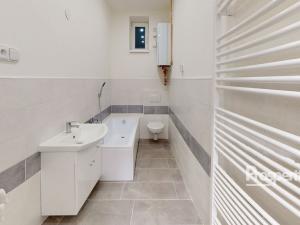 Pronájem bytu 1+1, Děčín - Děčín IX-Bynov, Bynovská, 32 m2