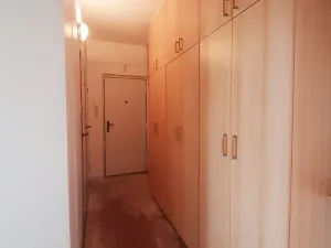 Prodej bytu 2+1, Karviná, Divišova, 56 m2