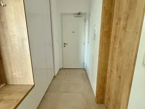 Pronájem bytu 2+kk, Plzeň, U Borského parku, 61 m2