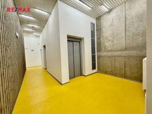 Pronájem bytu 2+kk, Plzeň, U Borského parku, 61 m2