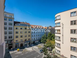 Pronájem bytu 2+1, Praha - Vinohrady, Italská, 110 m2