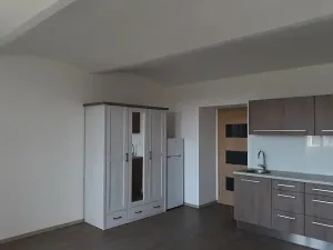 Pronájem bytu 1+kk, Tábor, Hradební, 41 m2