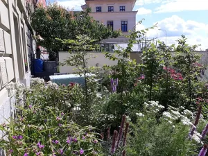 Pronájem bytu 1+kk, Tábor, Hradební, 41 m2