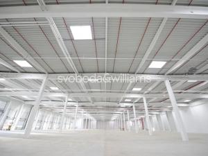Pronájem výrobních prostor, Ostrava, Halasova, 5168 m2