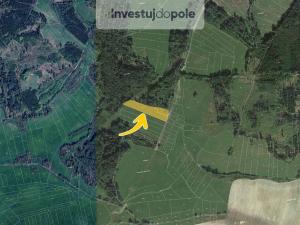 Prodej louky, Neurazy - Nová Ves u Nepomuka, 6998 m2