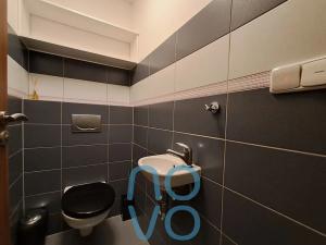 Pronájem bytu 2+kk, Plzeň, Vstupní, 65 m2