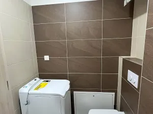 Pronájem bytu 1+kk, Brno, Přadlácká, 32 m2