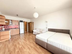 Pronájem bytu 1+kk, Plzeň, Květná, 33 m2