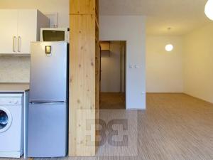 Pronájem bytu 1+kk, Praha - Břevnov, Talichova, 39 m2