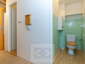 Pronájem bytu 1+kk, Praha - Břevnov, Talichova, 39 m2