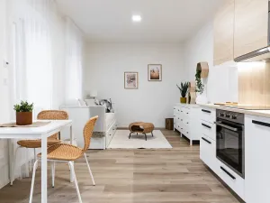 Pronájem bytu 1+kk, Brno, Boženy Němcové, 27 m2