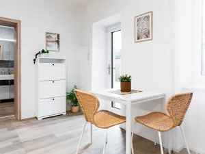 Pronájem bytu 1+kk, Brno, Boženy Němcové, 27 m2