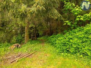 Prodej rodinného domu, Horní Planá, Zvonková, 217 m2