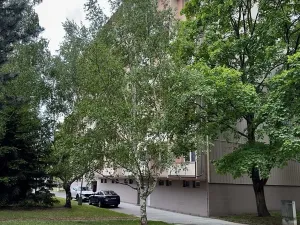 Prodej bytu 3+1, Brno, Absolonova, 80 m2