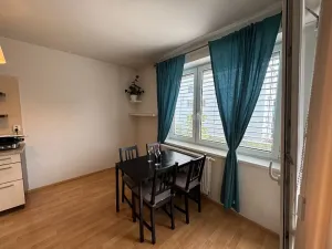 Pronájem bytu 1+kk, Brno, Říčanská, 38 m2