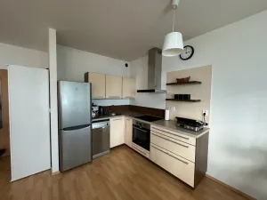 Pronájem bytu 1+kk, Brno, Říčanská, 38 m2