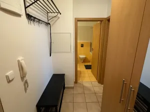 Pronájem bytu 1+kk, Brno, Říčanská, 38 m2