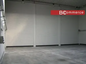 Pronájem obchodního prostoru, Brno, 496 m2