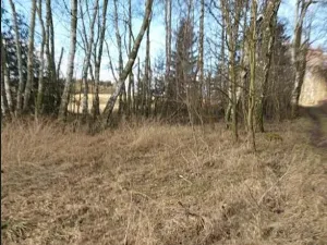 Prodej lesa, Vyskytná, 2191 m2