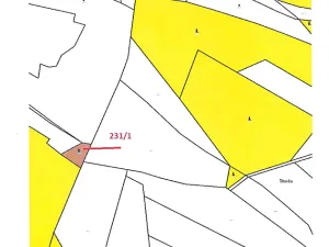Prodej lesa, Střítež pod Křemešníkem, 608 m2