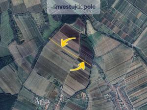 Prodej pole, Malá Vrbka, 1703 m2