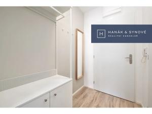 Pronájem bytu 1+kk, Brno, Chaloupkova, 22 m2